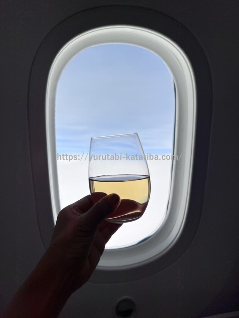 飛行機の窓越しにワインを持って撮影